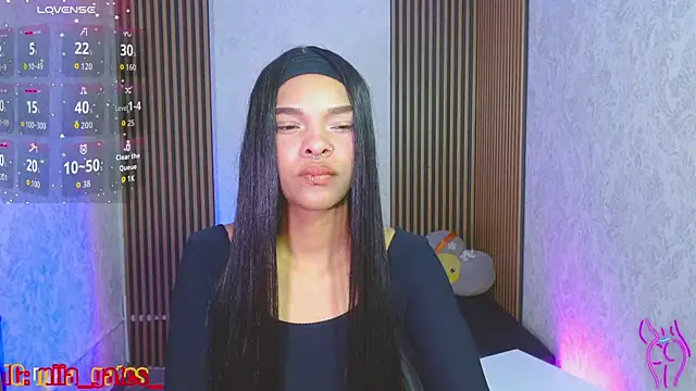 Miagates tay online show from November 2, 3:10 am