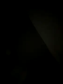 SienaWild online show from December 20, 4:16 am