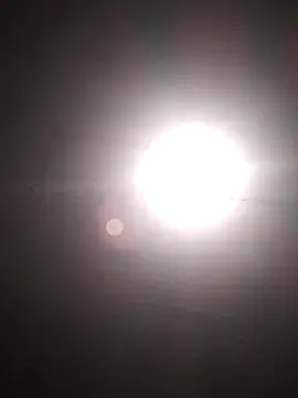 Cachorrinha2025 online show from October 1, 3:55 am