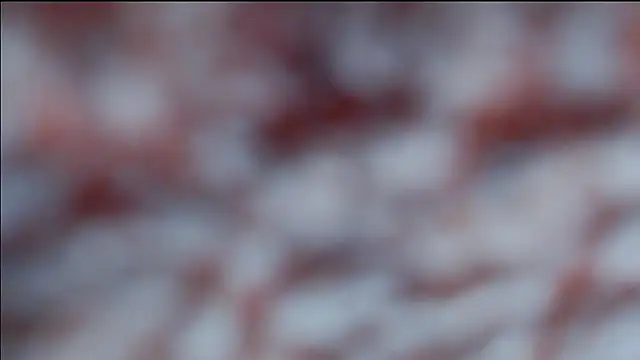 hsua0098 online show from April 16, 10:34 pm