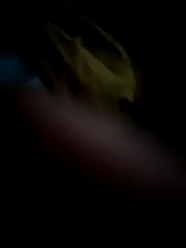 Barbie 13 online show from September 29, 2:49 am