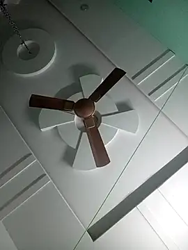 supcpl online show from November 23, 12:07 pm