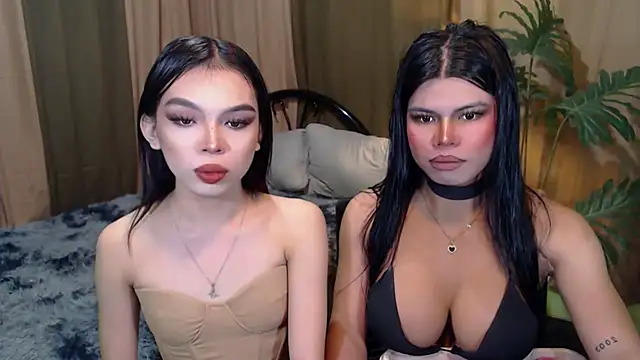 TWINKTRANSSHANEL online show from October 17, 9:34 am