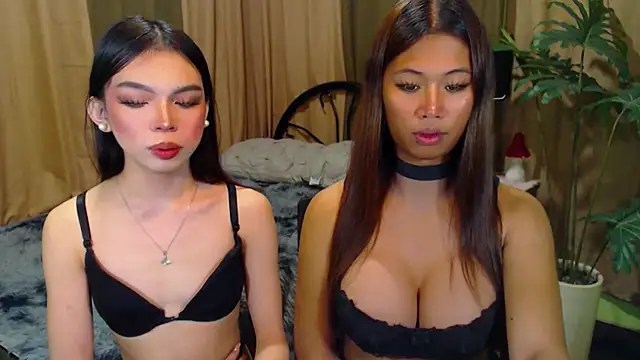 TWINKTRANSSHANEL online show from October 12, 5:32 am