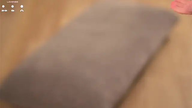 MonetLeitman online show from November 11, 1:12 am