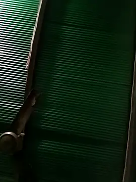 Jessica-03 online show from December 4, 5:24 pm