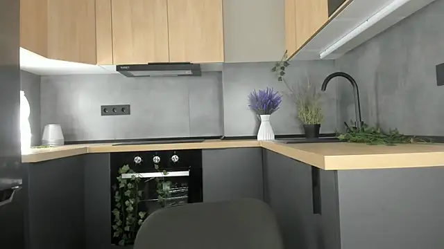 FoxFever online show from November 26, 7:42 am