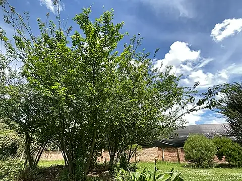  jeessy online show from October 22, 6:24 pm