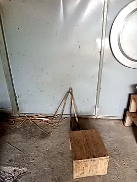 Fish yellow online show from December 21, 8:51 am