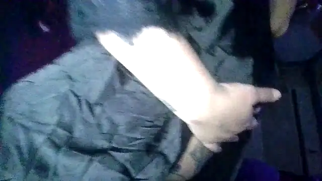 playxrated online show from November 29, 12:31 pm