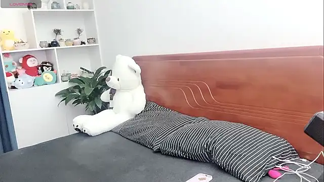 xiner-6666 online show from November 4, 8:19 am