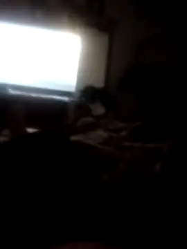 pampa4456 online show from November 22, 5:54 am