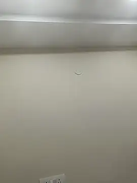 bigtelugubhama online show from November 9, 2:57 pm