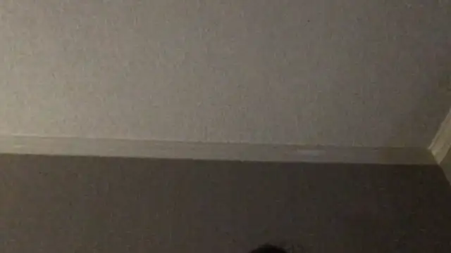 RyanSteeleXXX online show from December 2, 6:37 am