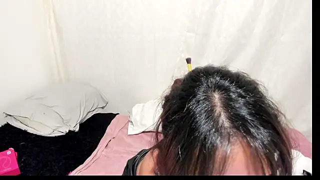 cat rose 25 online show from November 9, 2:51 am