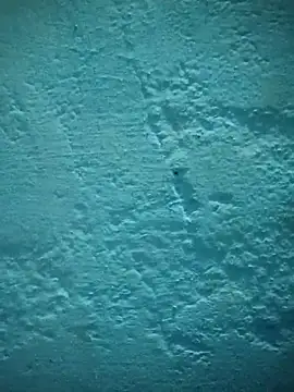 Chinki pande online show from December 21, 4:22 pm