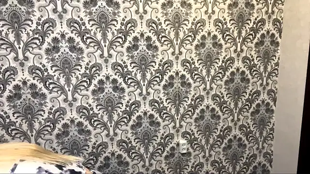 PhebeHals online show from November 9, 5:42 pm