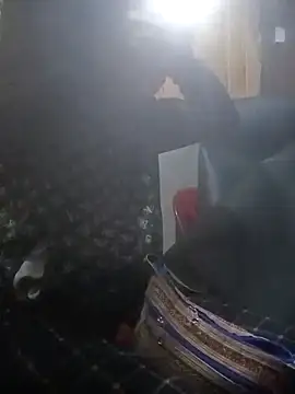 Socola205 online show from November 11, 4:08 am