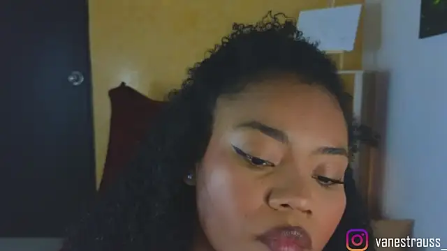 vanestraus online show from November 24, 8:44 pm