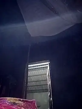 mon1-day online show from November 19, 11:32 am