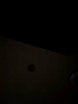 Little  Danni1 online show from December 13, 11:10 pm