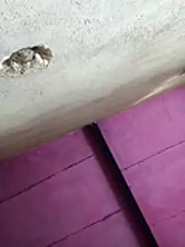 Pooja hote online show from January 10, 6:07 am