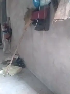 tieutam122 online show from March 2, 10:33 am