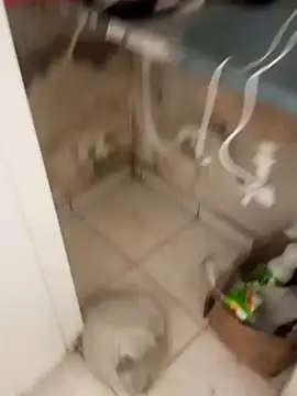  - putinha - online show from November 29, 11:03 am