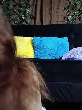 dakota021 online show from February 13, 2:35 am