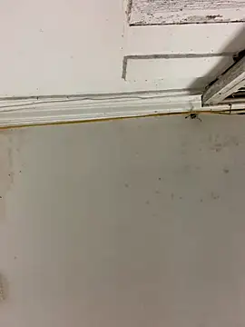 Mon babyy online show from February 26, 12:15 pm