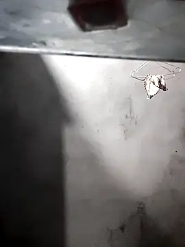 gigo-ulala online show from December 16, 1:39 pm