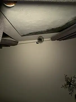 vinique99 online show from January 17, 11:01 pm