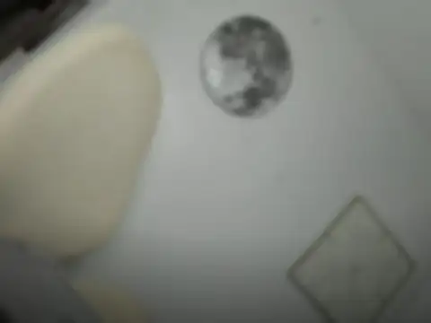 MissTransUSA online show from March 26, 5:25 pm