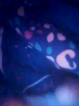 noty tanyy online show from December 19, 7:28 pm