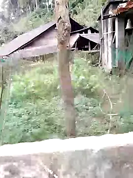 galaxy898 online show from February 15, 6:38 am