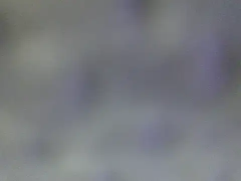 Minico25 online show from March 29, 2:43 am