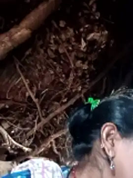 Manvi hote online show from February 3, 5:38 am