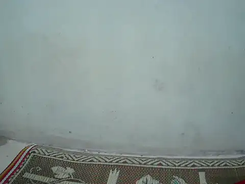 Ana 2023 online show from March 27, 8:31 pm