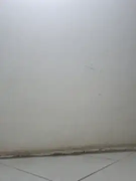 sandrarubi11 online show from January 19, 3:14 am