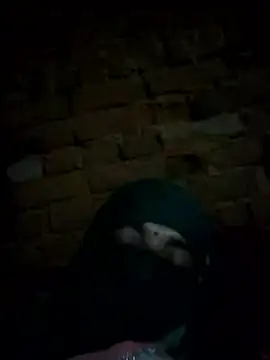 Roshni5050 online show from January 17, 2:24 pm