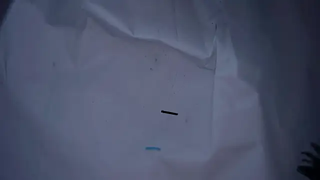 lx667788 online show from January 16, 3:30 pm