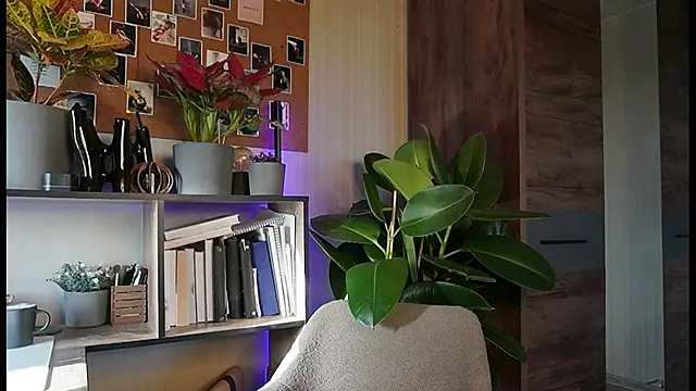 just dakota  online show from March 9, 7:22 am