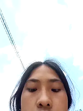 Hoa-tuylip online show from April 11, 7:56 am