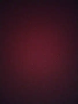 Regina 23 online show from February 20, 12:09 am