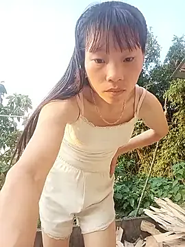 pic8800 online show from May 16, 10:36 am