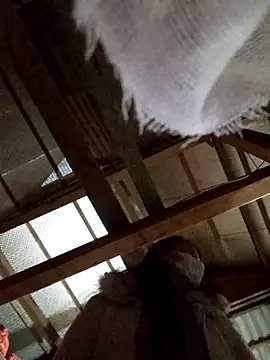 Heylen hooo online show from March 16, 2:32 pm