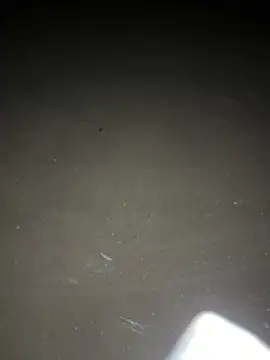 yingzi003 online show from April 16, 12:38 pm