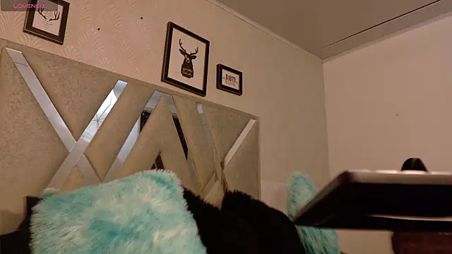 KarolFoxxi   online show from June 27, 3:51 am