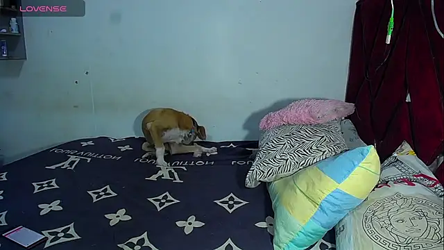 DanisaBrown online show from October 12, 2:41 pm