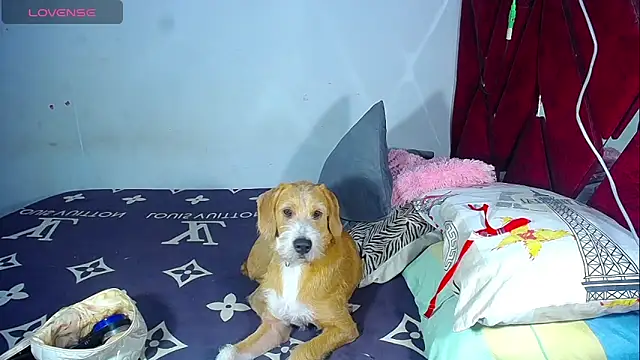 DanisaBrown online show from October 7, 2:21 pm